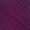 Iris Purple
